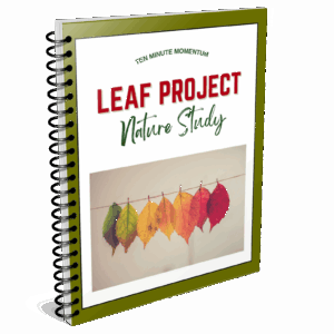 Leaf Collection Project Pack: Nature Study
